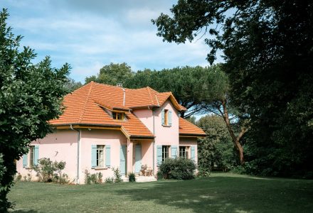 image_123650291-8-1